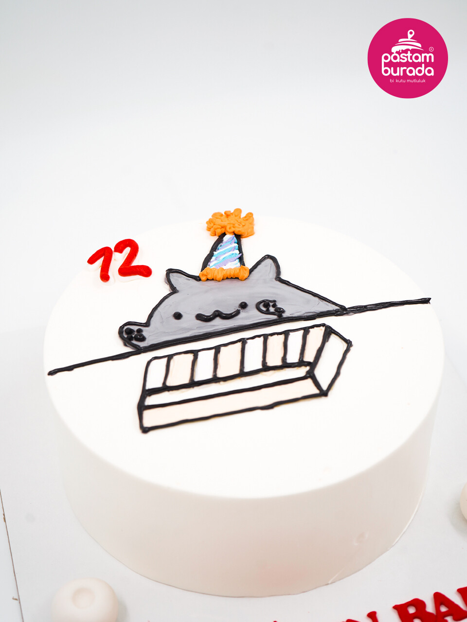 Kedi Çizim Detay Naked Cake